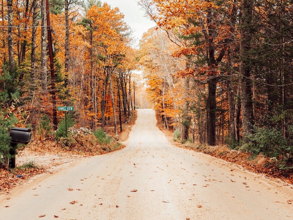 Country Lane