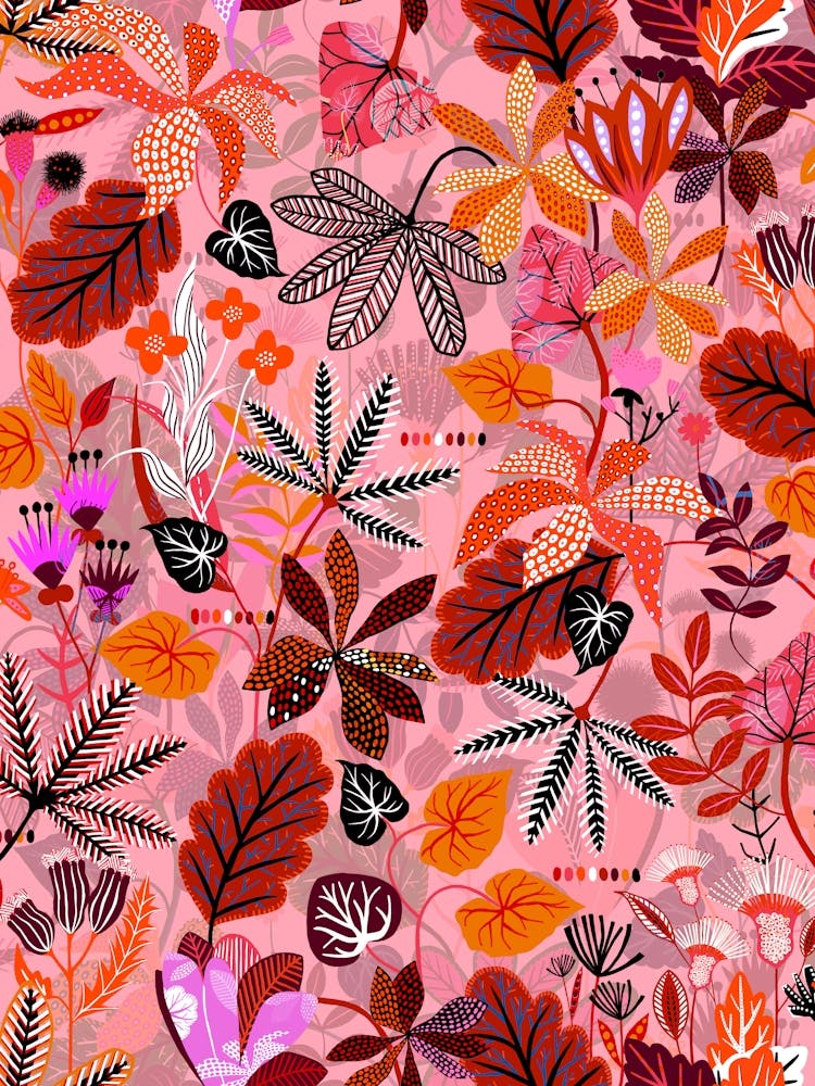 Gardenia - Pink Orange