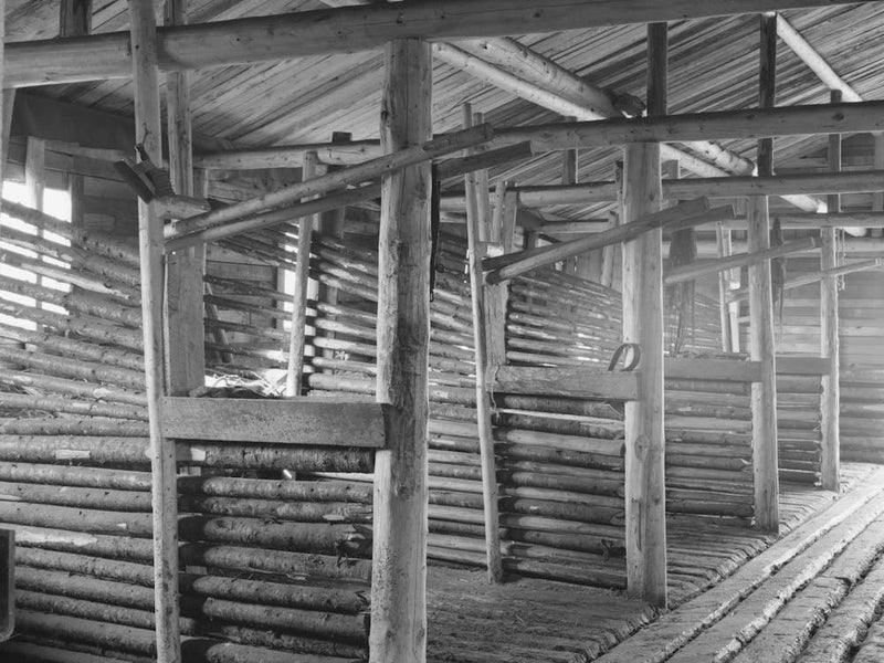 Construction Of Stalls And Barn At Logging Camp Near Effie, Minnesota By Russell Lee