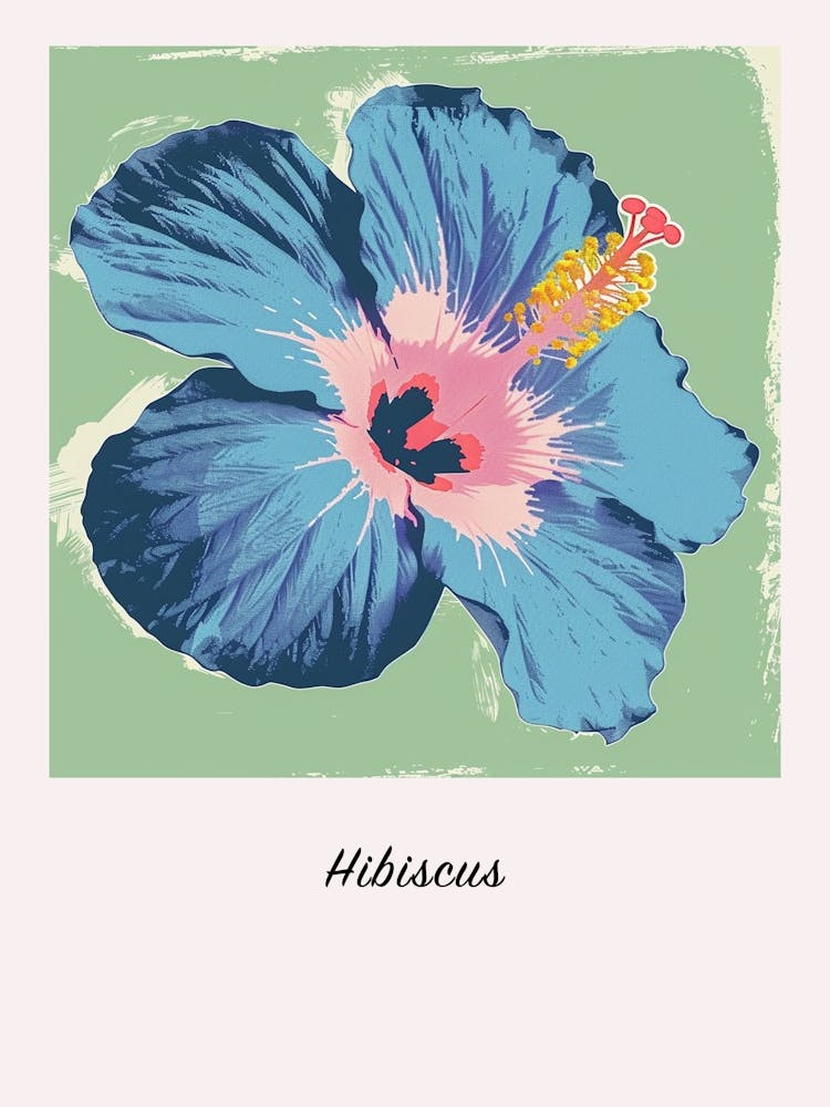Hibiscus 3 Square Flower Illustration Poster