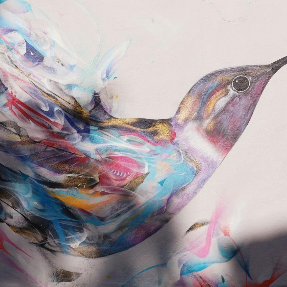 Hummingbird