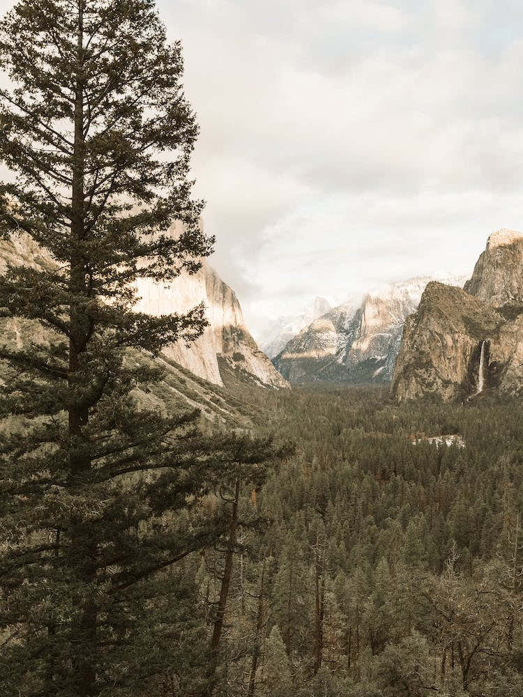 Yosemite Landscape