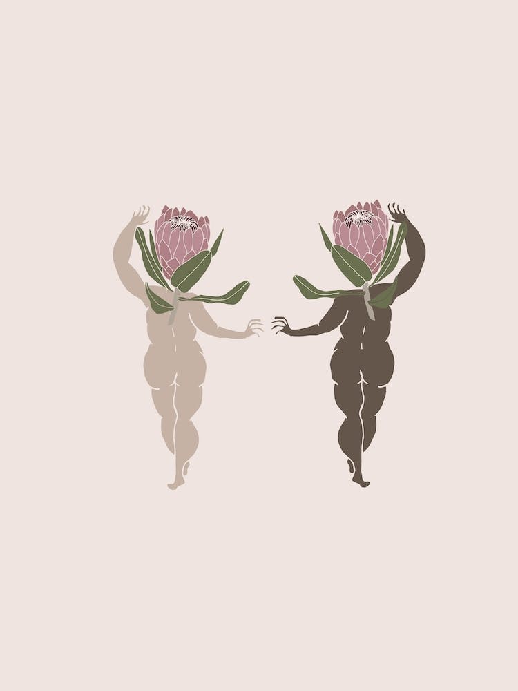 Double Protea