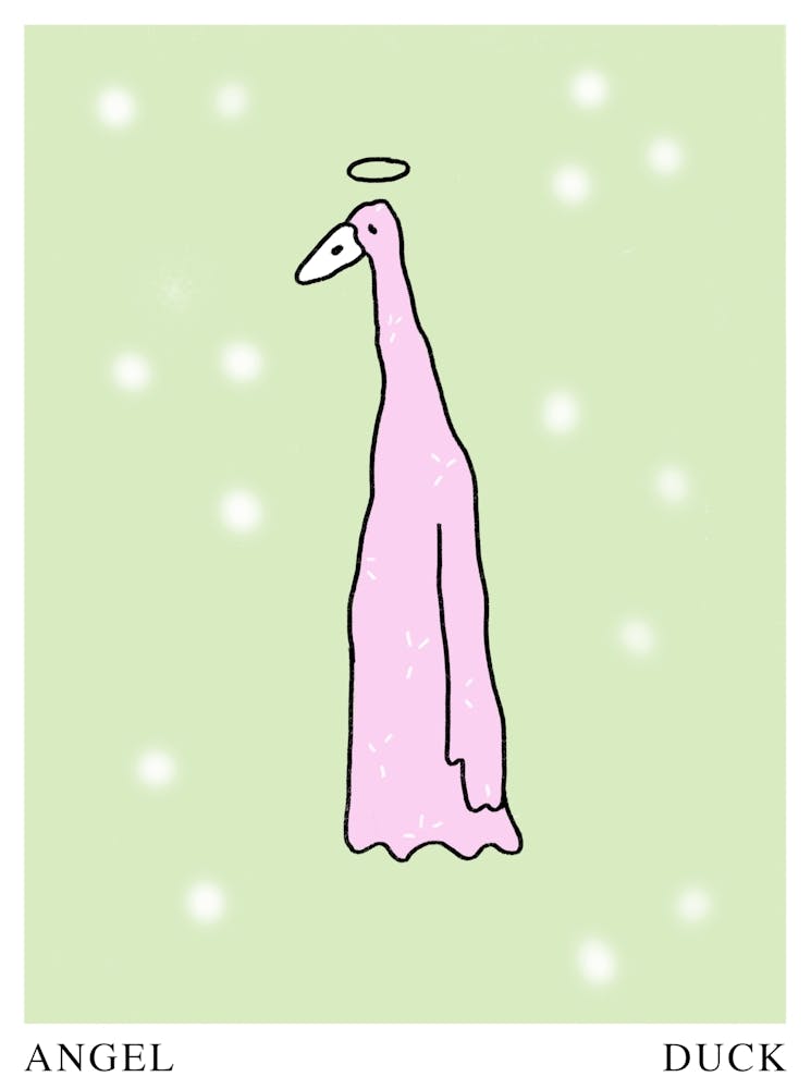 Angel Duck