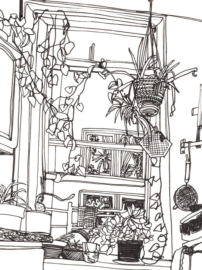 Brooklyn Kitchen Garden