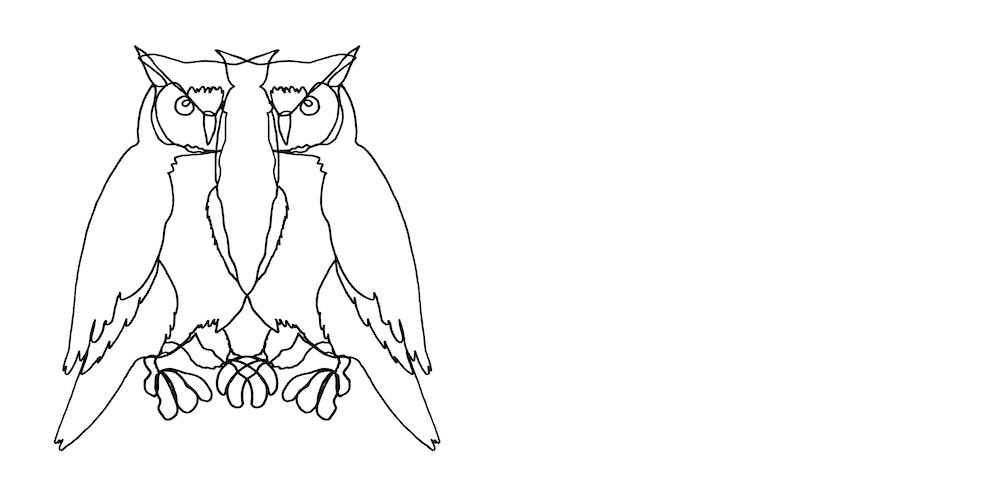 Owl Lines