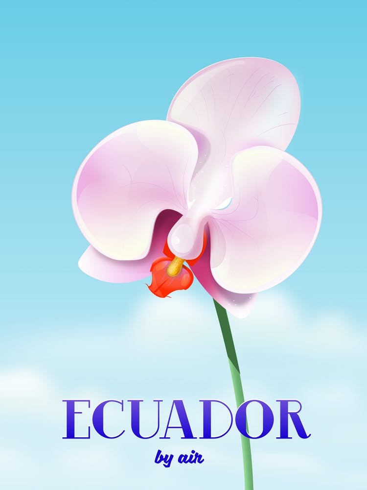 Ecuador By Air Travel poster