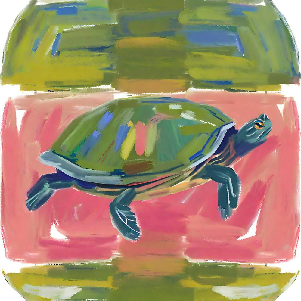 Gemalte Schildkröte 08