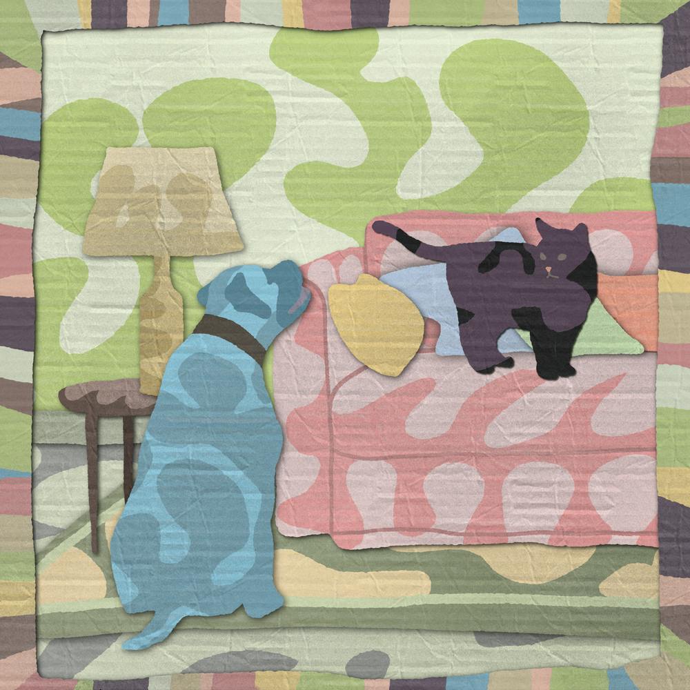 Dog And Cat Cardboard 10x10