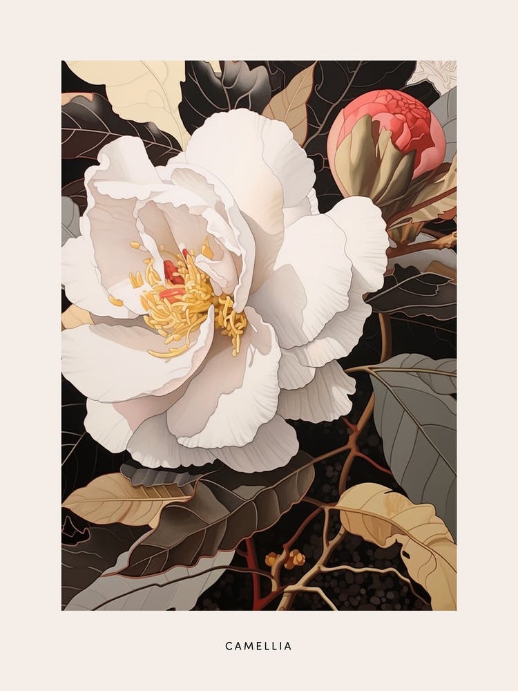 Flower Illustration Camellia 3 Poster