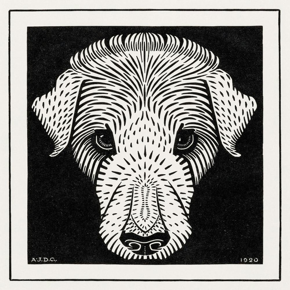 Dogs Head