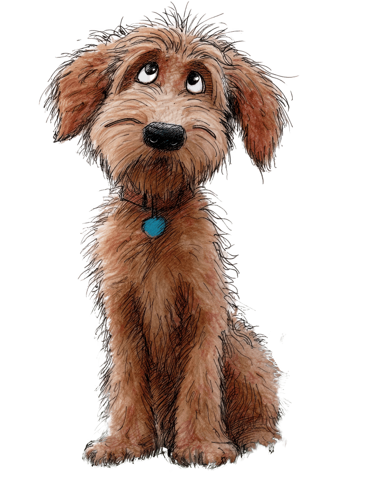 Groodle 2 Dog