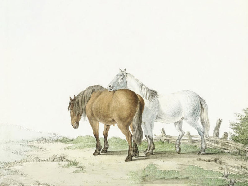 Ein braunes und weißes Pferd auf einer Straße neben einem Zaun, Jean Bernard