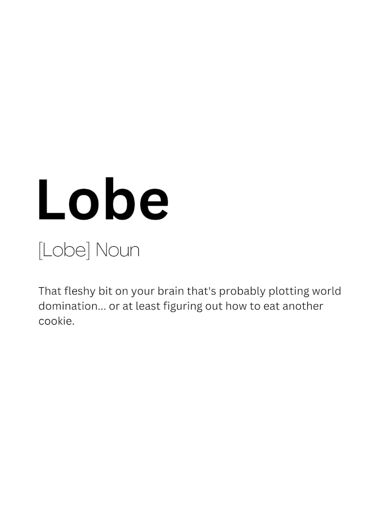 Lobe Definition Meaning