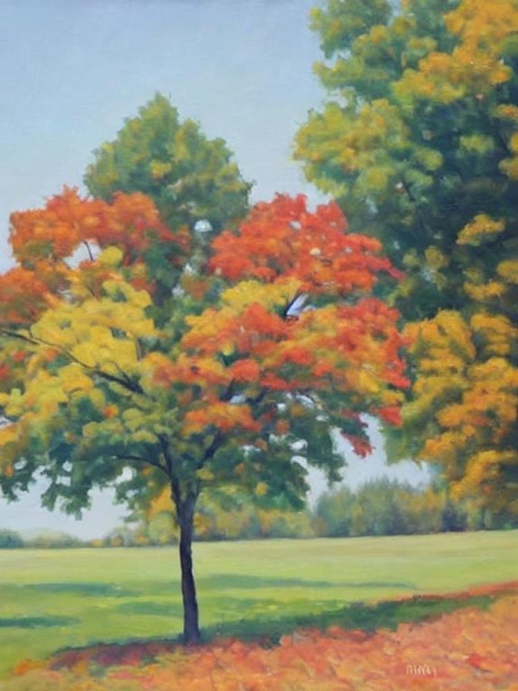 Silver Linden Tree Watercolour