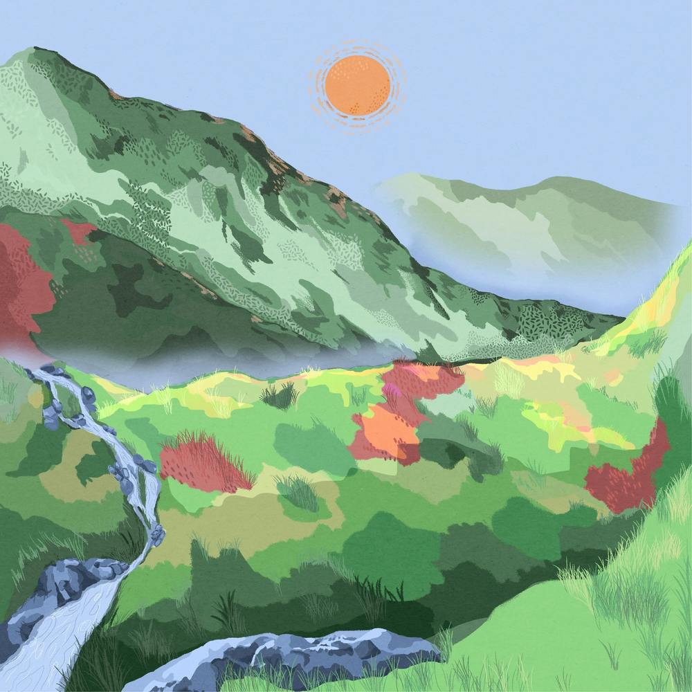 Sunny Wilderness Square