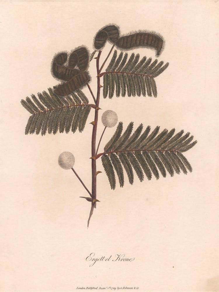 Ergett El Krome (1789), James Heath