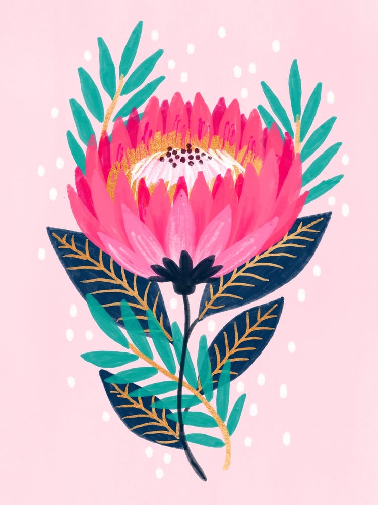 Protea