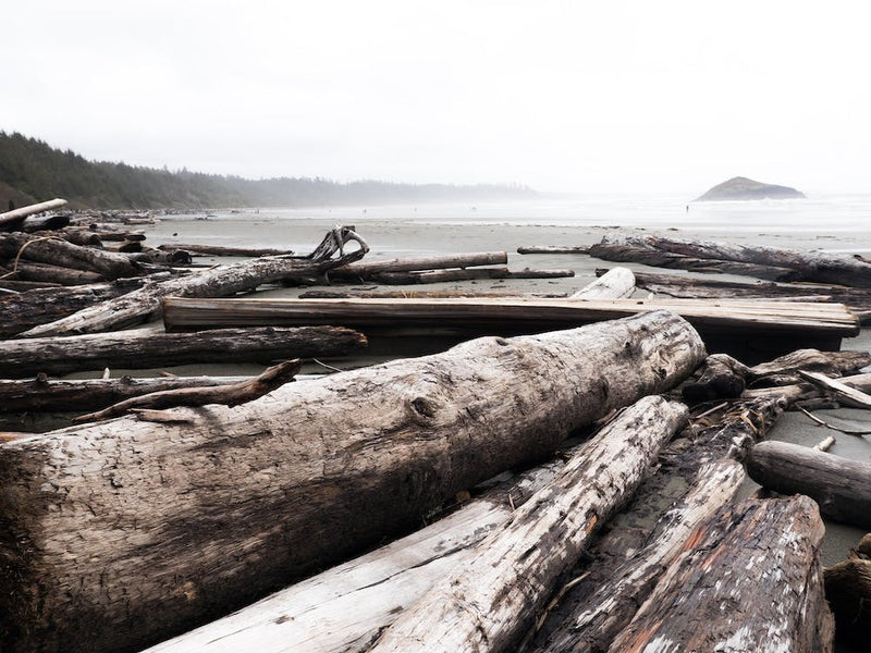 Pacific Drifters
