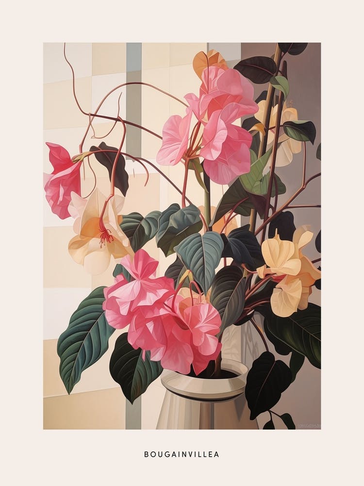 Flower Illustration Bougainvillea 2 Poster