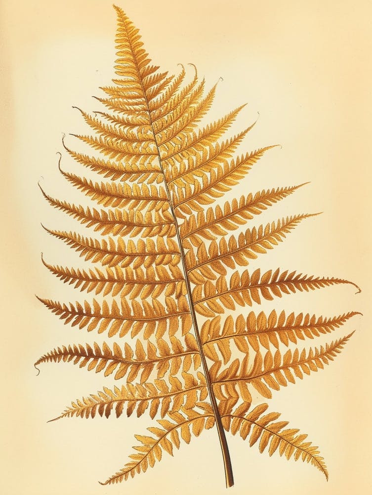 Vintage Illustration Golden Leather Fern 3