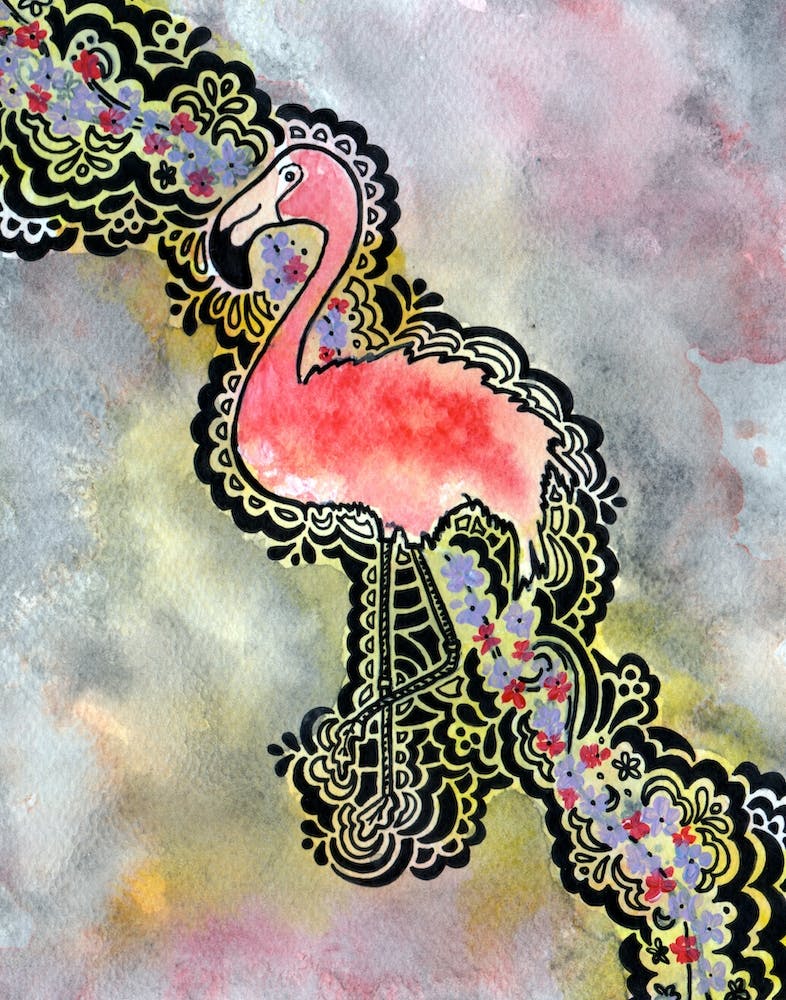 Flamant Rose