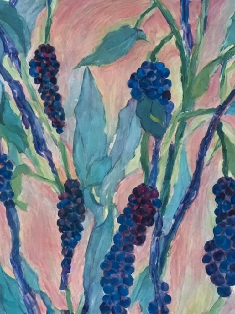 Mûre de Boysen Fruit classique