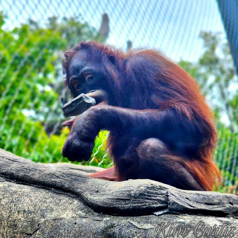 Picsart 23 09 24 14 23 41 770