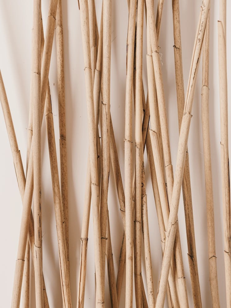 Wooden Reeds