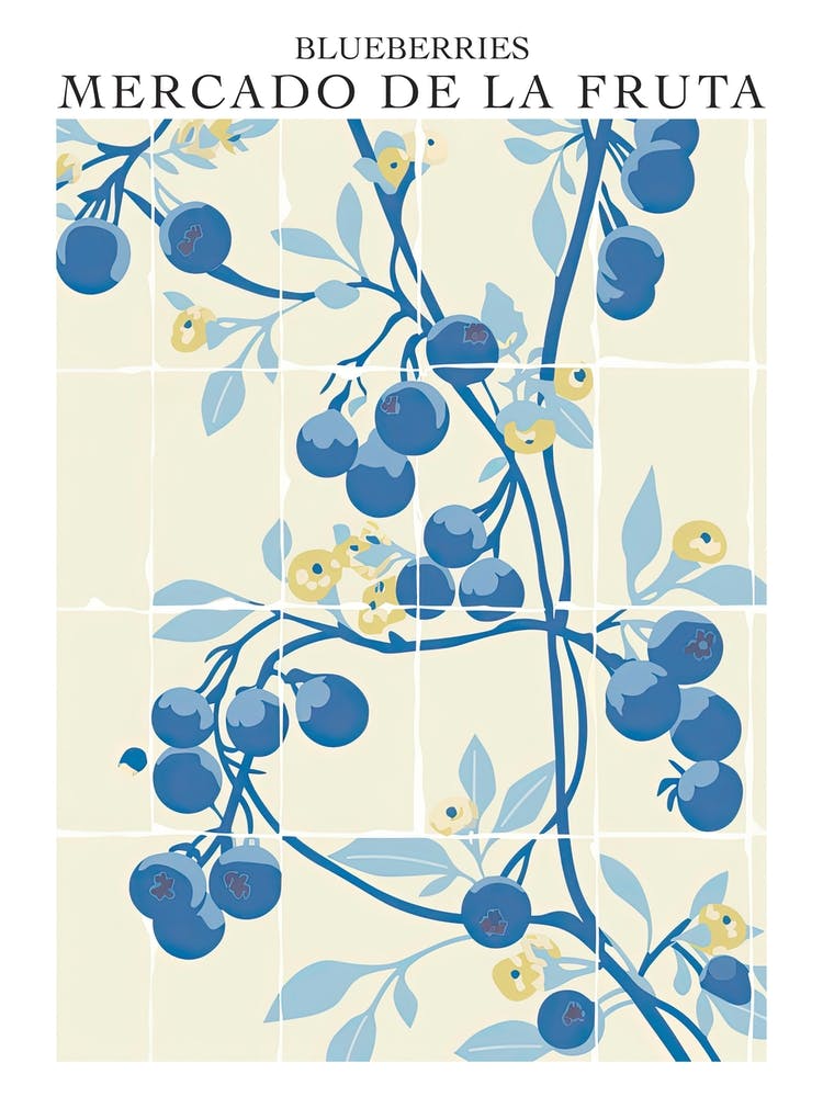 Mercado De La Fruta Blueberries Illustration 4 Poster