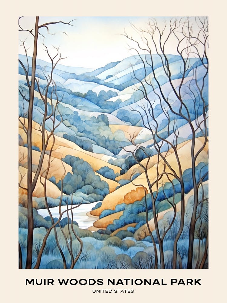 Muir Woods National Park United States Poster