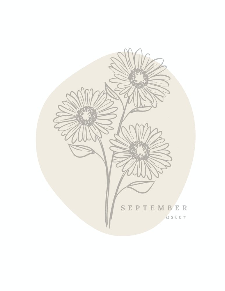 September Aster  Birth Flower | Neutral Florals