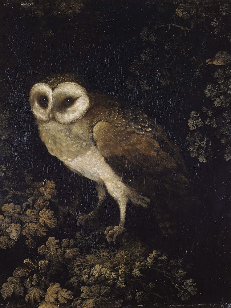 Dark Academie Owl In The Woods