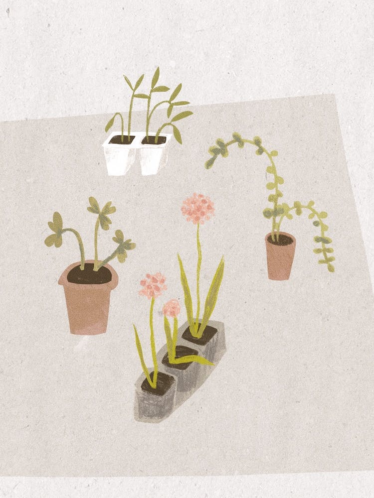 Grow