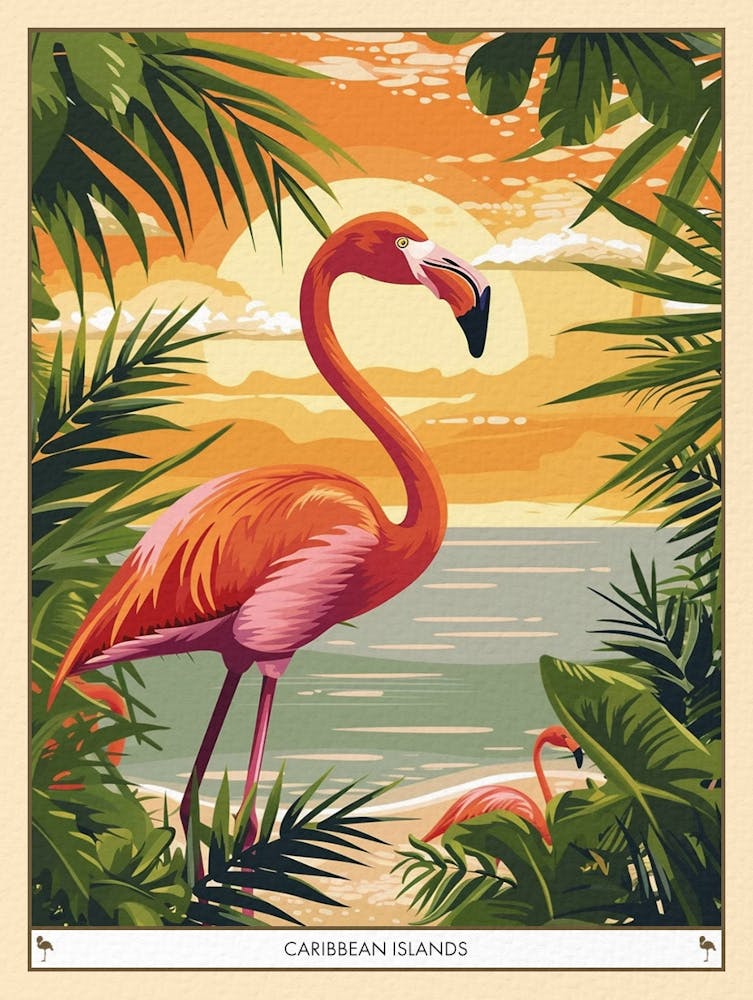 Greater Flamingo Caribbean Islands Tropical Illustration 5 Poster
