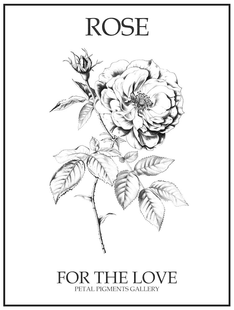 Dessin au Trait Rose Noir et Blanc 4 Poster