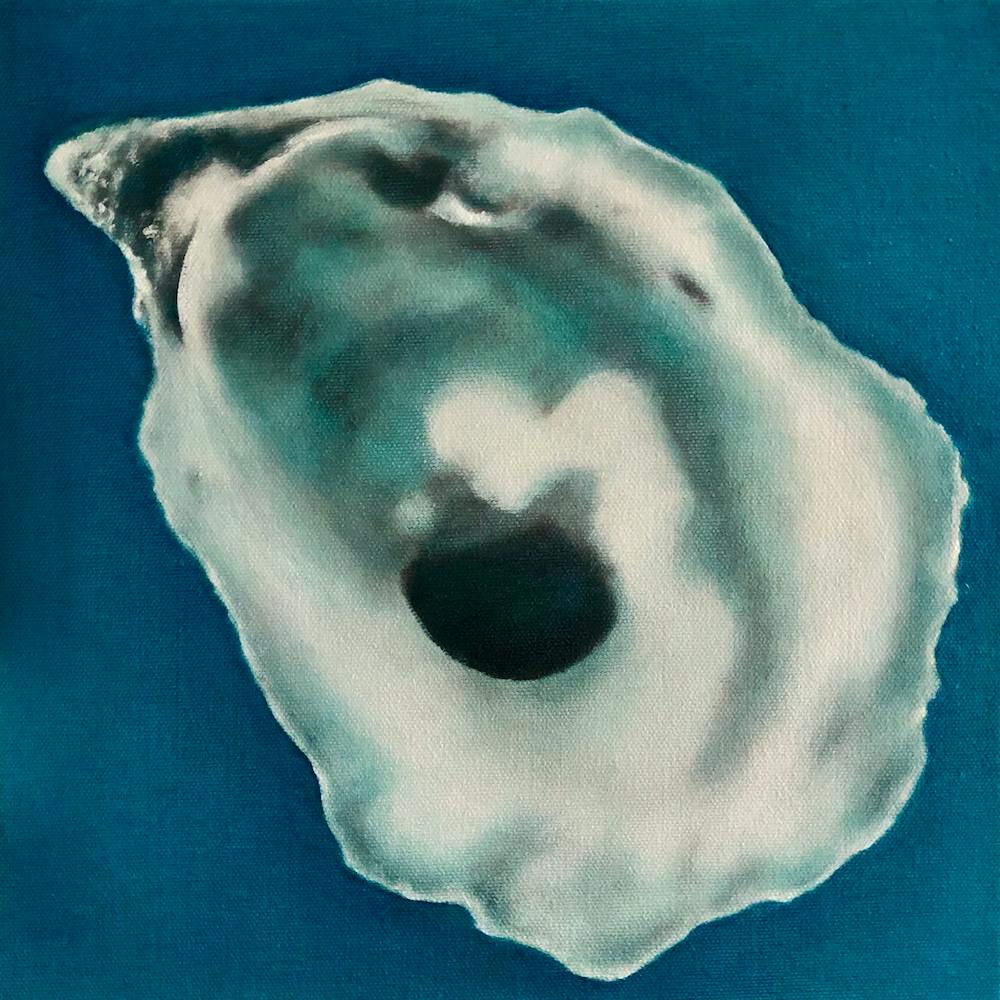 Oyster Shell 2