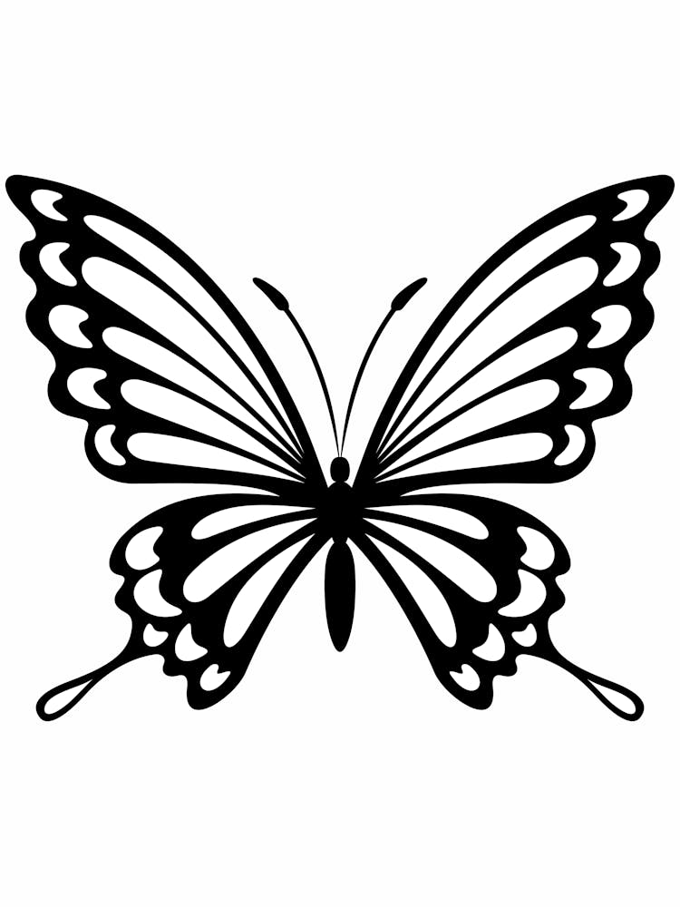 Butterfly 4
