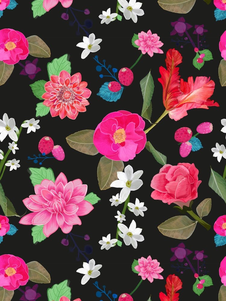 Beautiful Summer Flowers