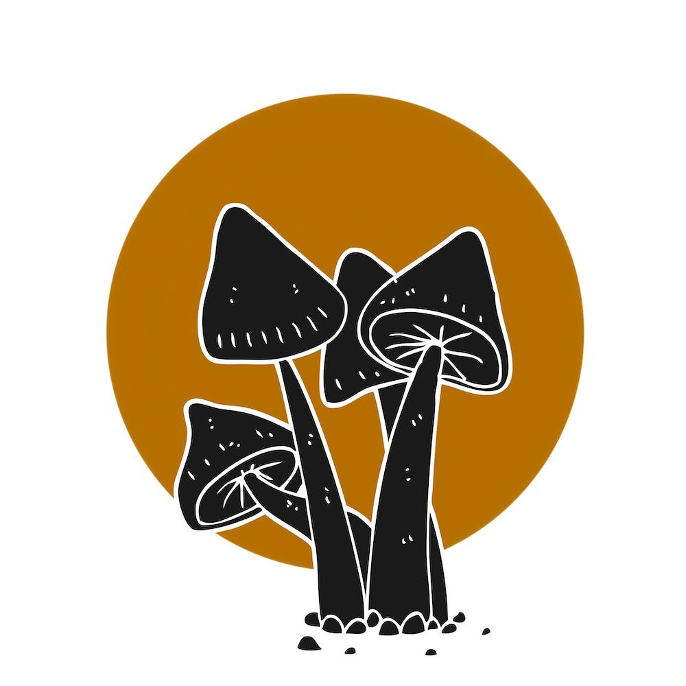 Mushroom Life