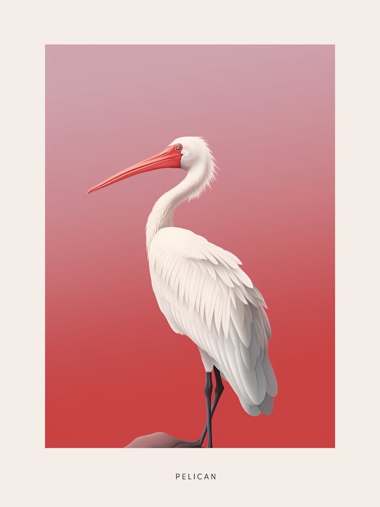 Minimalist Pelican 3 Bird Poster