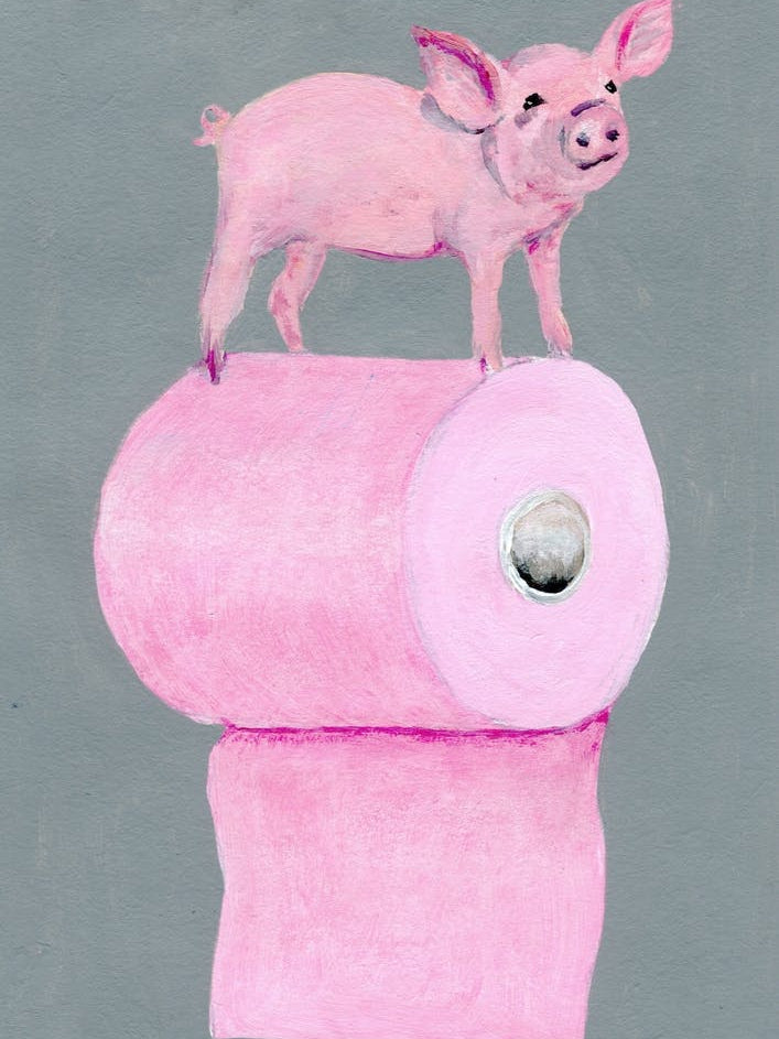 Pig On Toilet Paper