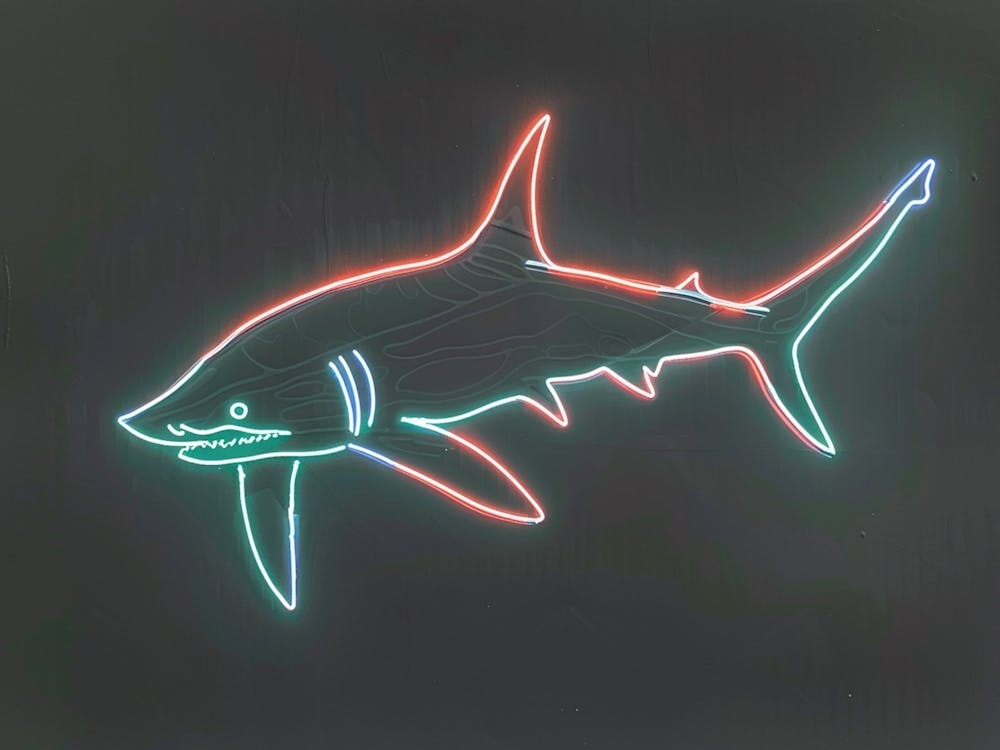 Neon Thresher Shark  5