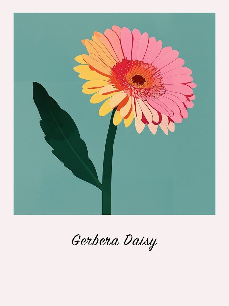 Gerbera Daisy Square Flower Illustration Poster