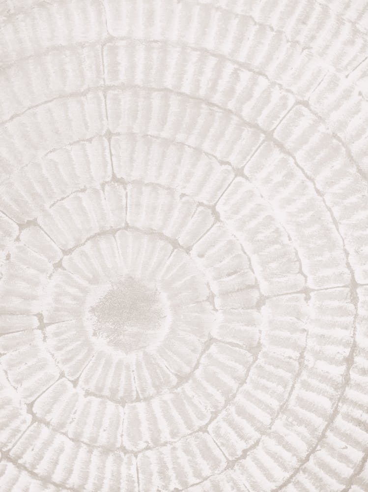 Wood pattern_2113930