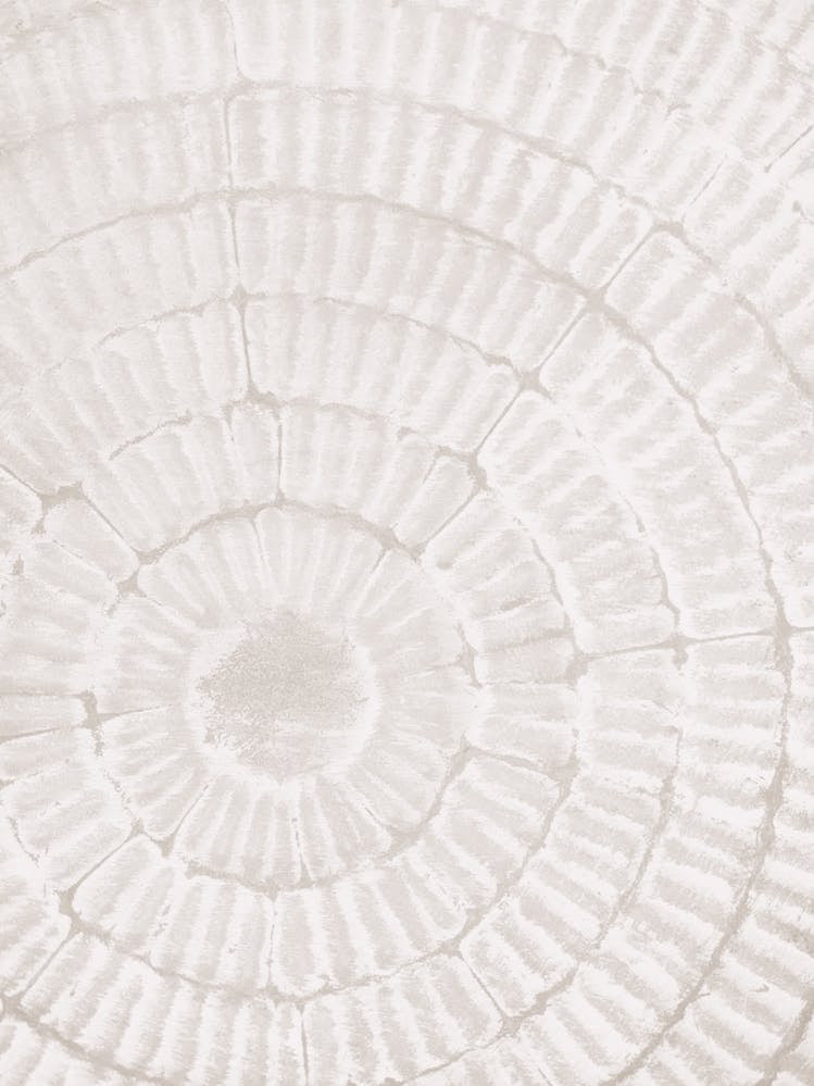 Wood pattern_2113930