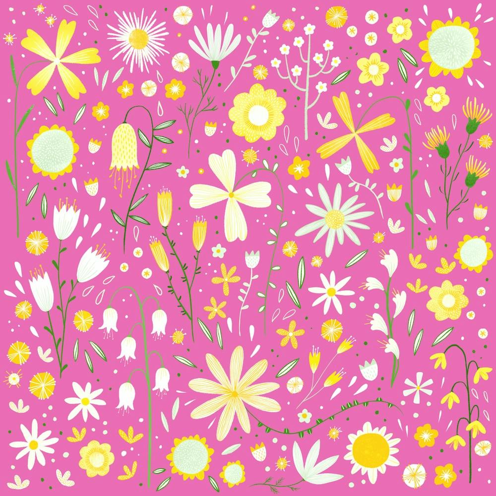 Yellow and White Wild Flowers on Pink