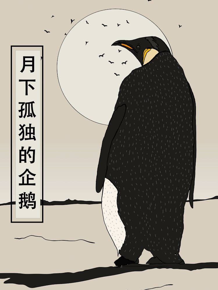 Solitary Penguin Under the Moon