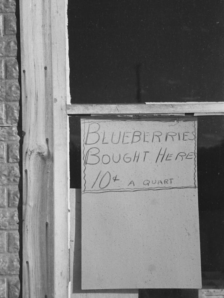 Sign In Store Window, Little Fork, Minnesota By Russell Lee
