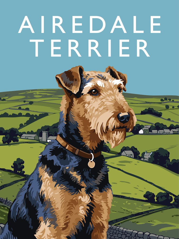 Airedale Terrier